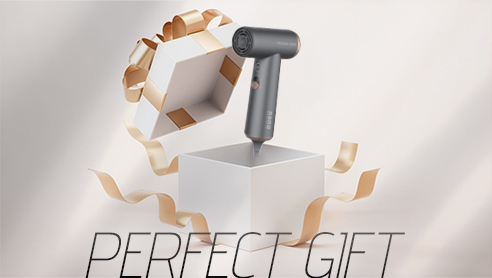 perefct-gift.jpg